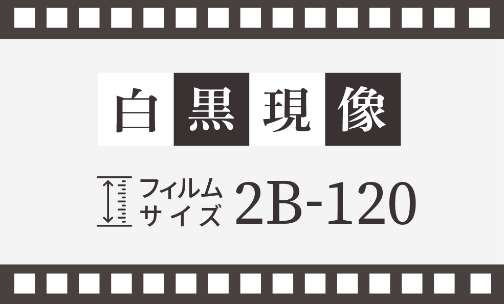 白黒フィルム 現像用品セット 追加オプション:白黒ネガフィルム現像 一般的な135フル,135ハーフ,120
