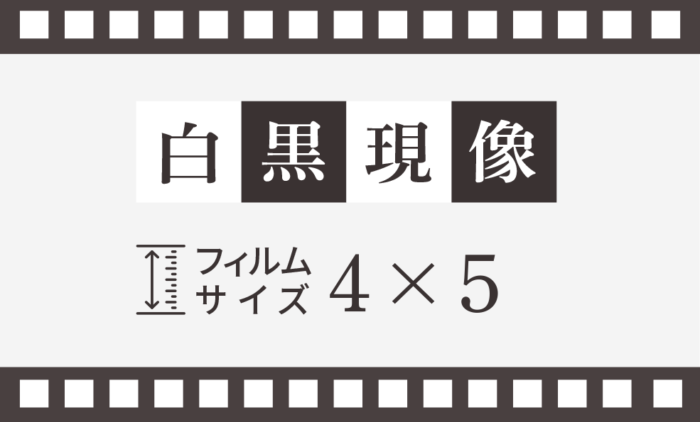モノクロ（白黒）フィルム現像【4x5インチサイズ】 – トミカラー写真