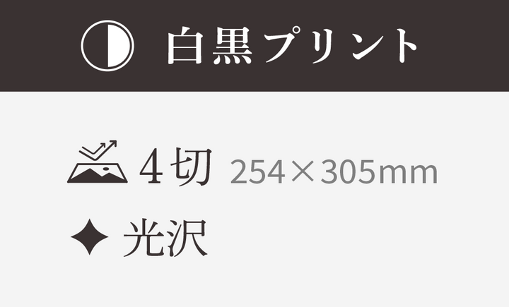 【4切】254×305mm