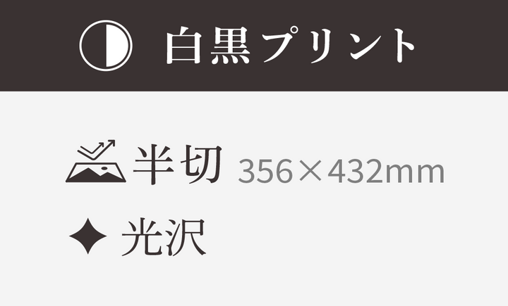 【半切】356x432mm