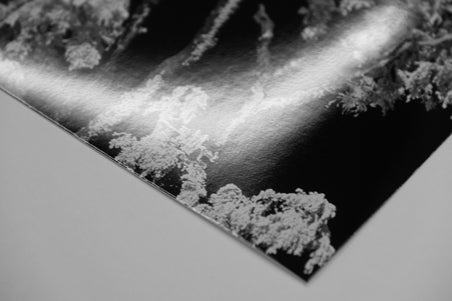 光沢(グロッシー)