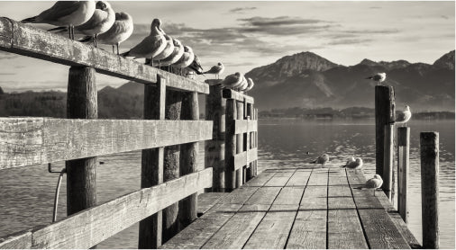 白黒(モノクロ)プリント