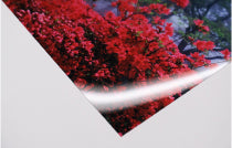 クリスタルプリント