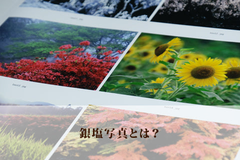 写真プリントの色再現とは？銀塩とインクジェットの違いも解説