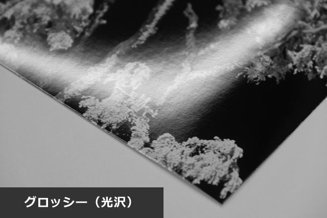 4切】254×305mm – トミカラー写真現像所