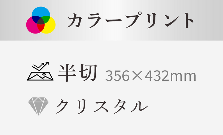 【半切】356×432mm