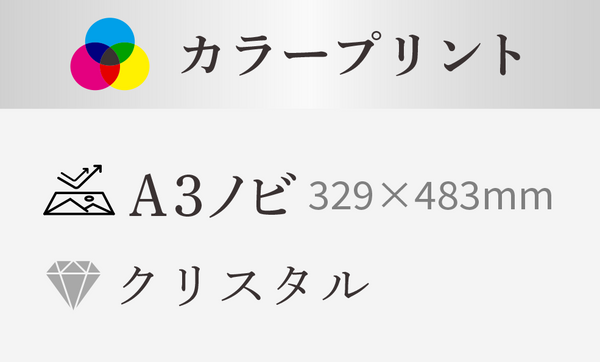 user_c3cf7c85様　ご確認用　写真　A3ノビ A3ノビ】329×483mm – トミカラー写真現像所