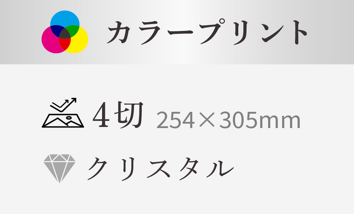 【4切】254×305mm