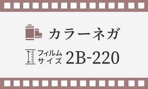 【2B-220 / ブローニー】カラーネガ