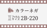 【2B-220 / ブローニー】カラーネガ