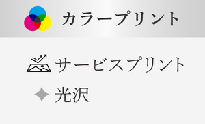 サービスプリント（半切ワイド～全紙)