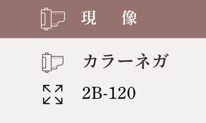 【2B-120】カラーネガ