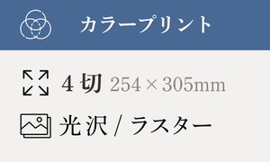 【4切】254×305ｍｍ