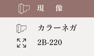 【2B-220】カラーネガ