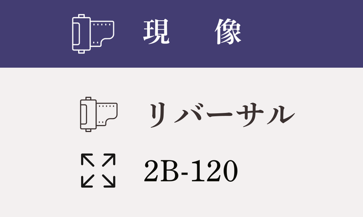 【2B-120】リバーサル