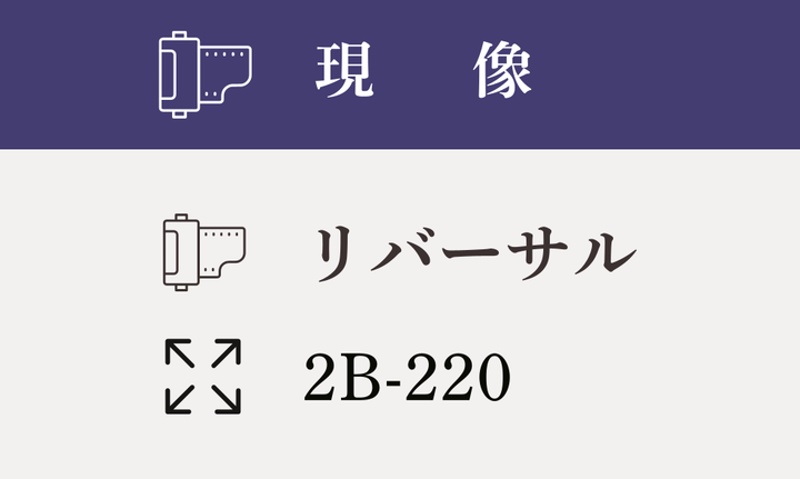 【2B-220】リバーサル