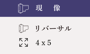 【4ｘ5】リバーサル