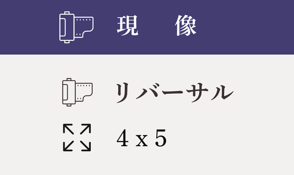 【4ｘ5】リバーサル